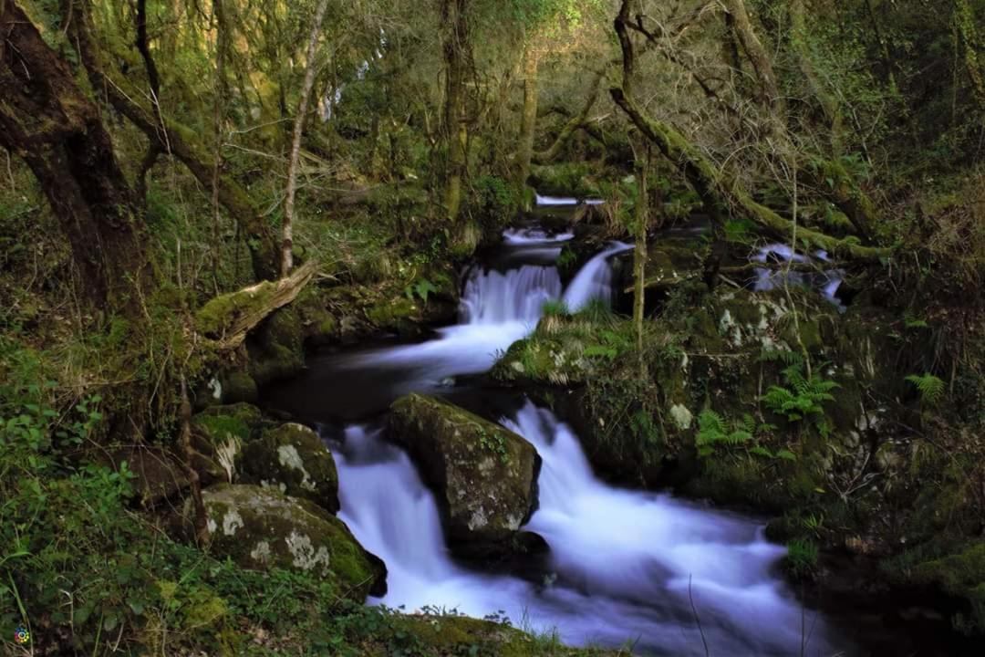 Eirixo Villa Valga Bagian luar foto